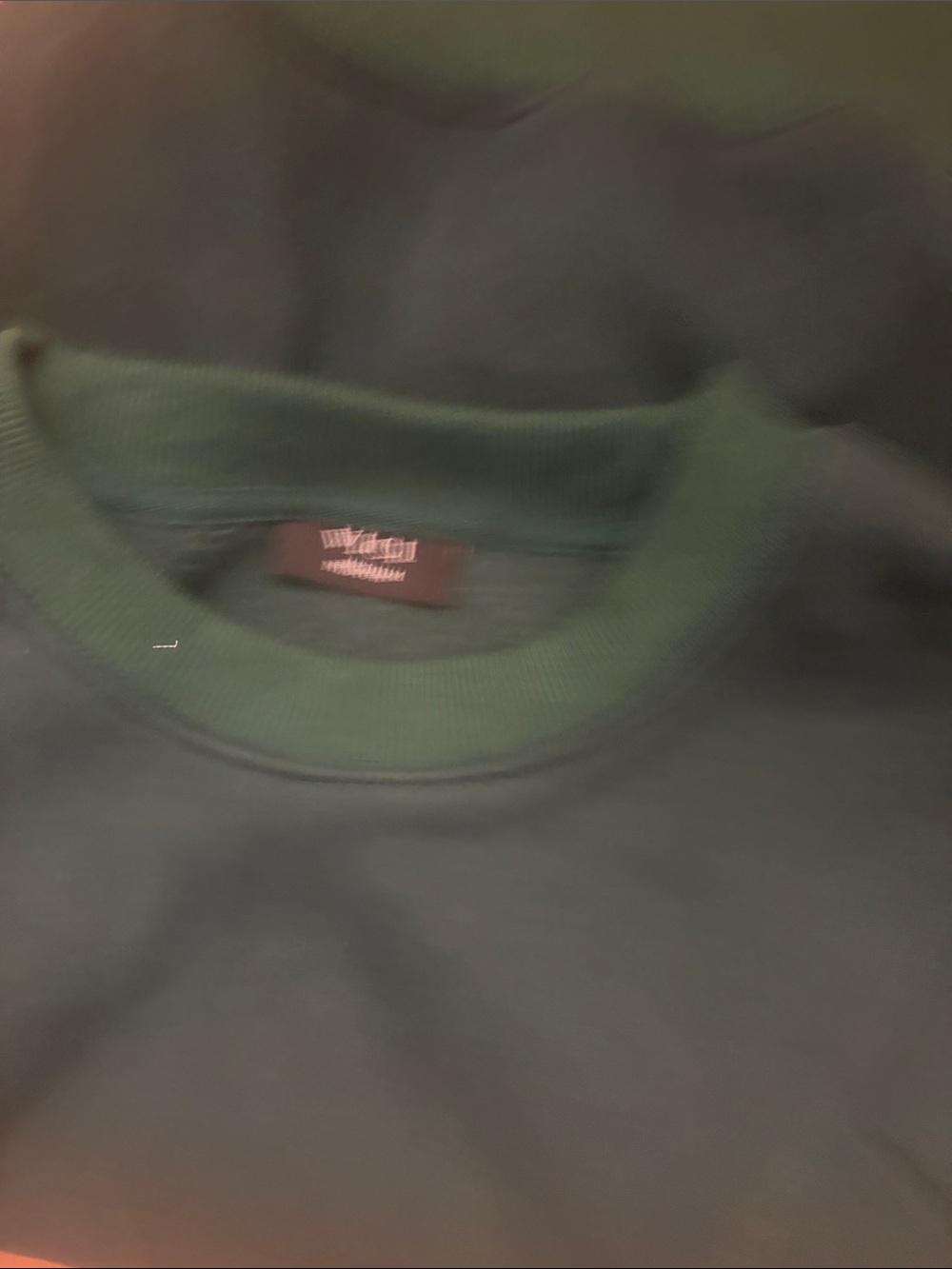 VICI Forest Green Crewneck Sweater - Picture 3 of 4